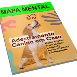 Mapa-mental-1.png